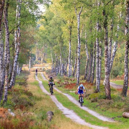 Chalet Op De Veluwe # Beuk بوتِنْ المظهر الخارجي الصورة