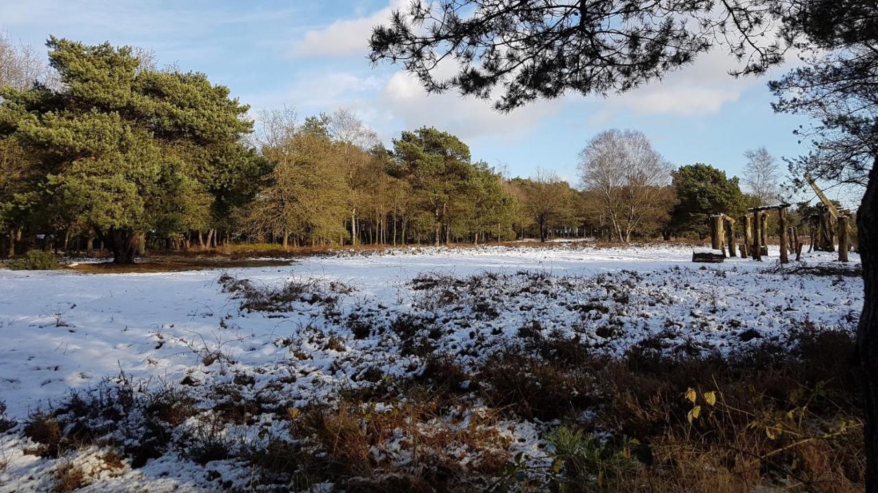 Chalet Op De Veluwe # Beuk بوتِنْ المظهر الخارجي الصورة