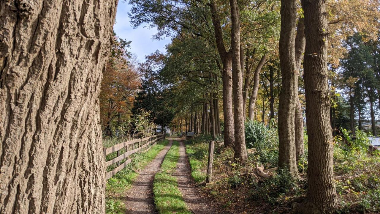 Chalet Op De Veluwe # Beuk بوتِنْ المظهر الخارجي الصورة