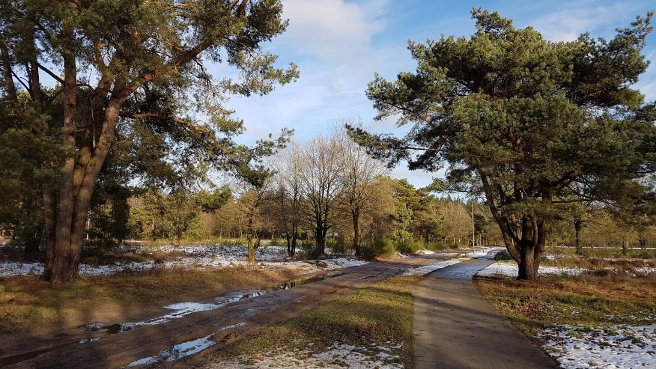 Chalet Op De Veluwe # Beuk بوتِنْ المظهر الخارجي الصورة