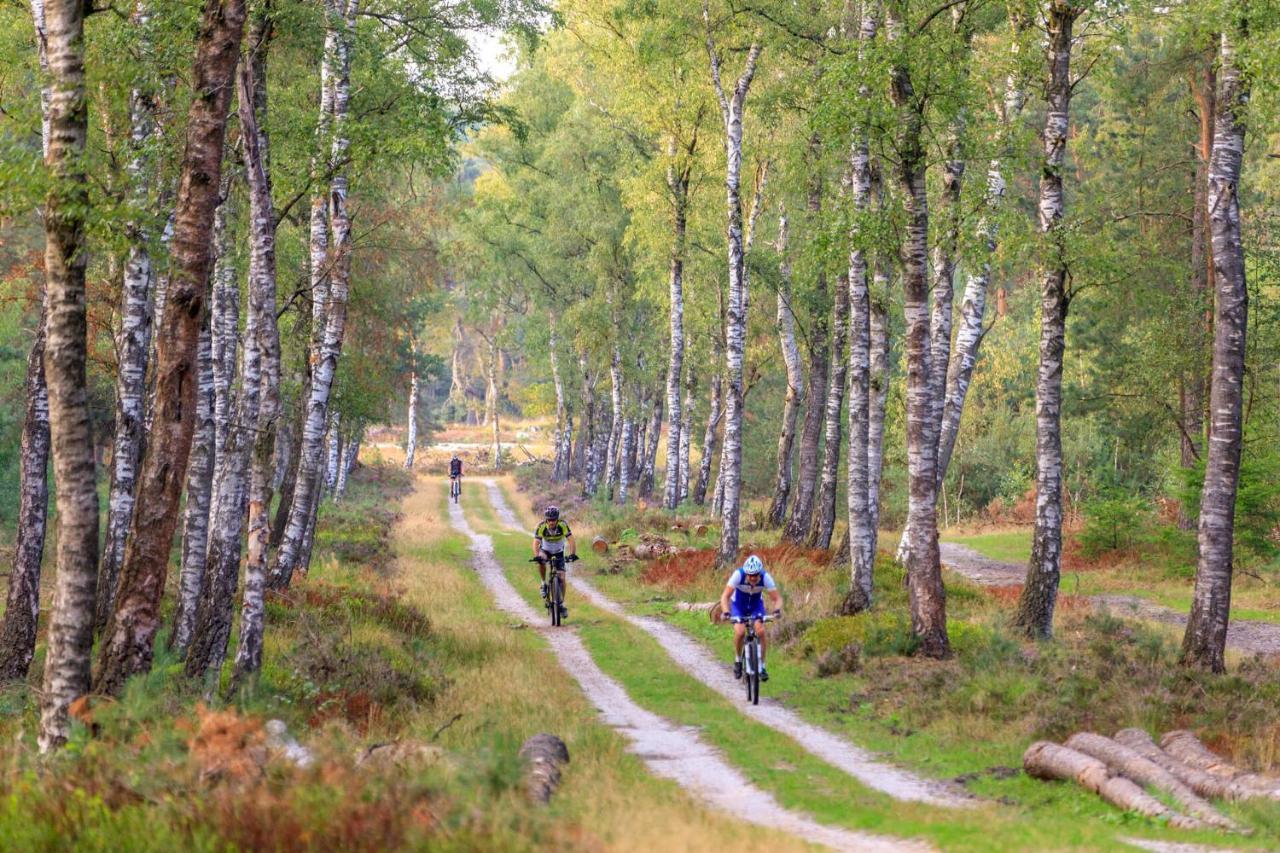 Chalet Op De Veluwe # Beuk بوتِنْ المظهر الخارجي الصورة