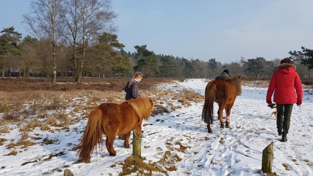 Chalet Op De Veluwe # Beuk بوتِنْ المظهر الخارجي الصورة