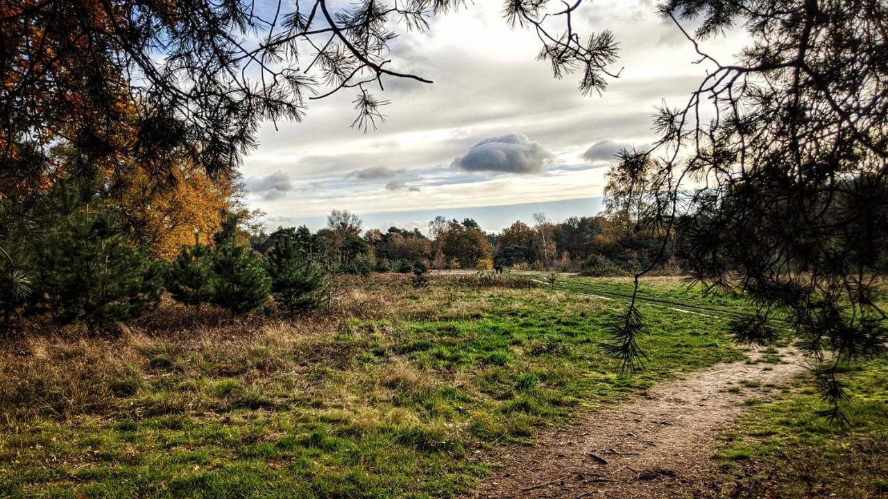 Chalet Op De Veluwe # Beuk بوتِنْ المظهر الخارجي الصورة