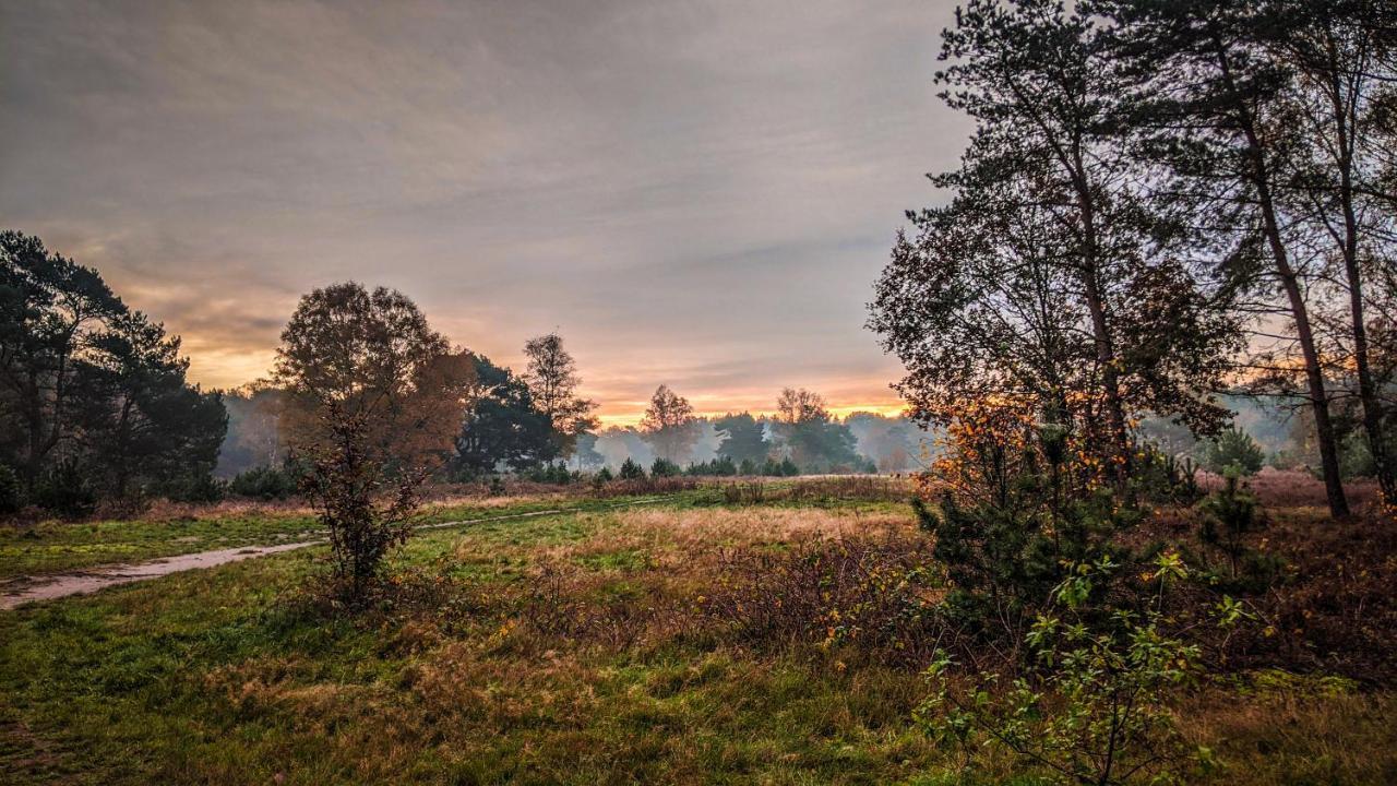 Chalet Op De Veluwe # Beuk بوتِنْ المظهر الخارجي الصورة